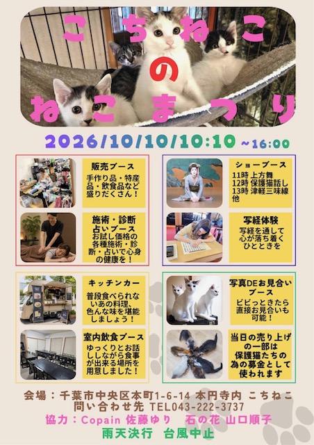 こちねこのねこまつり　チラシ